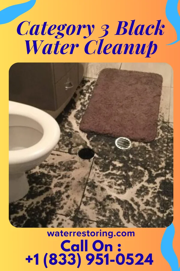 Category 3 Black Water Cleanup in Claremont, SD