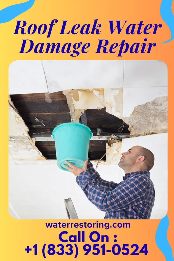 Roof Leak Water Damage Repair in Claremont, SD